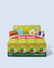 surprise box - mini vaas garden