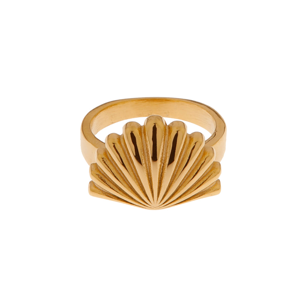 Ring - Shell