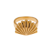 Ring - Shell