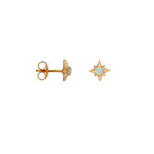 Afbeelding in Gallery-weergave laden, Oorbellen - Shiny starfish goud of zilver
