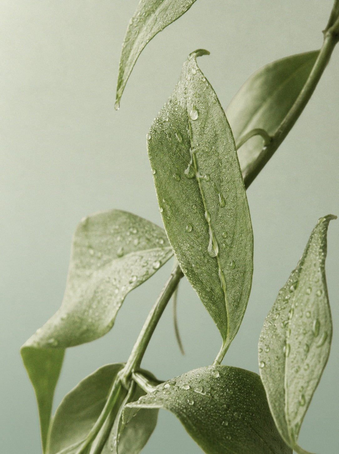 clear skin exfoliërend serum
