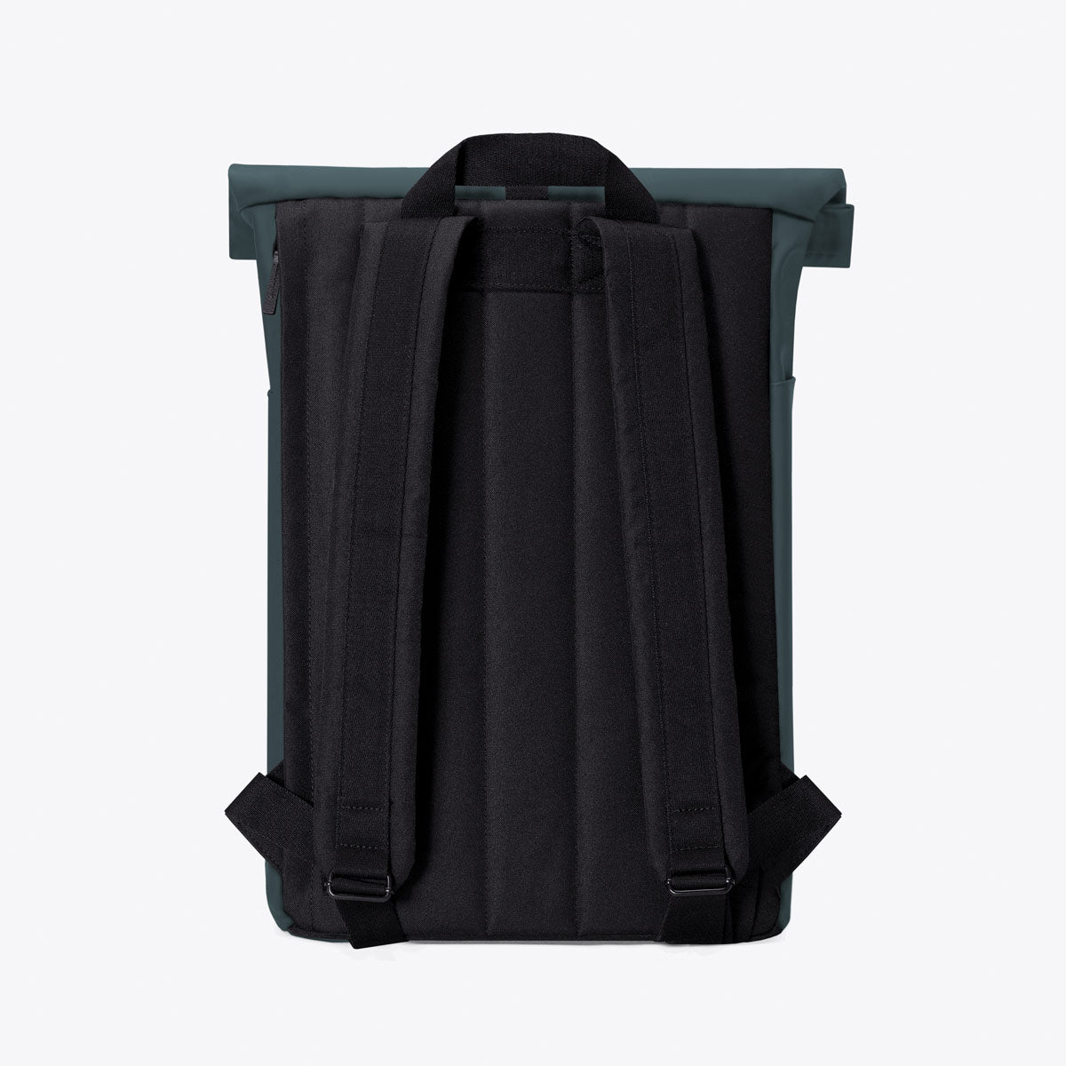 Hajo medium - Lotus infinity forest