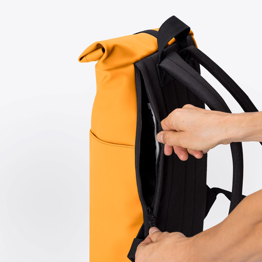 Hajo Medium - Lotus amber