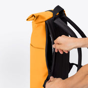 Hajo Medium - Lotus amber