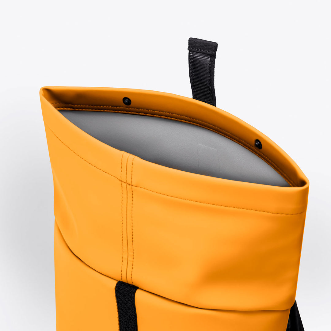 Hajo Medium - Lotus amber