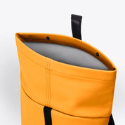 Hajo Medium - Lotus amber