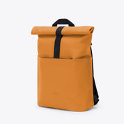 Hajo mini - Lotus infinity mustard