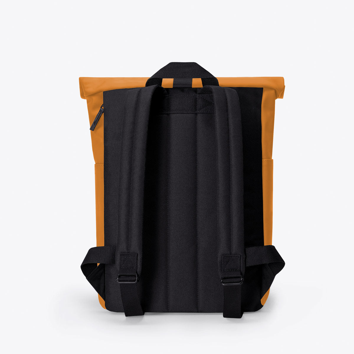 Hajo mini - Lotus infinity mustard