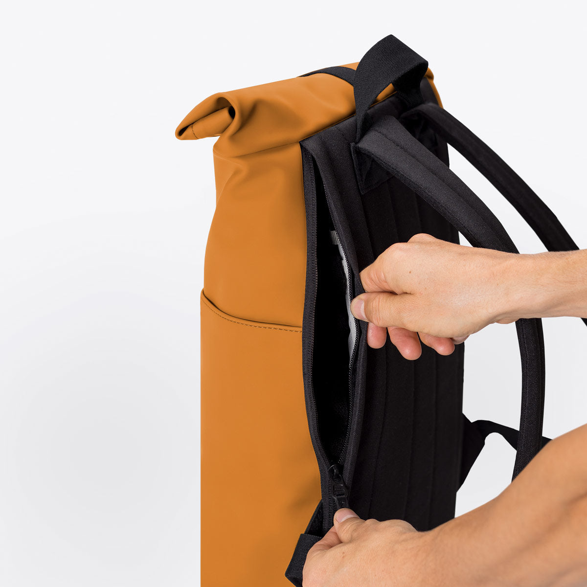 Hajo mini - Lotus infinity mustard