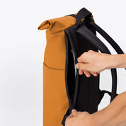 Hajo mini - Lotus infinity mustard