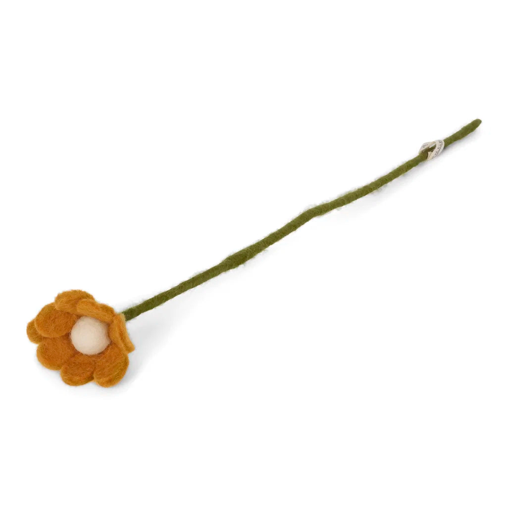 anemone-yellow.webp