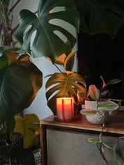 geurkaars atina - orange blossom & basil