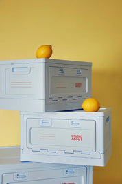 storage box - bordeaux