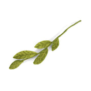 mix green leaves - gevilte tak