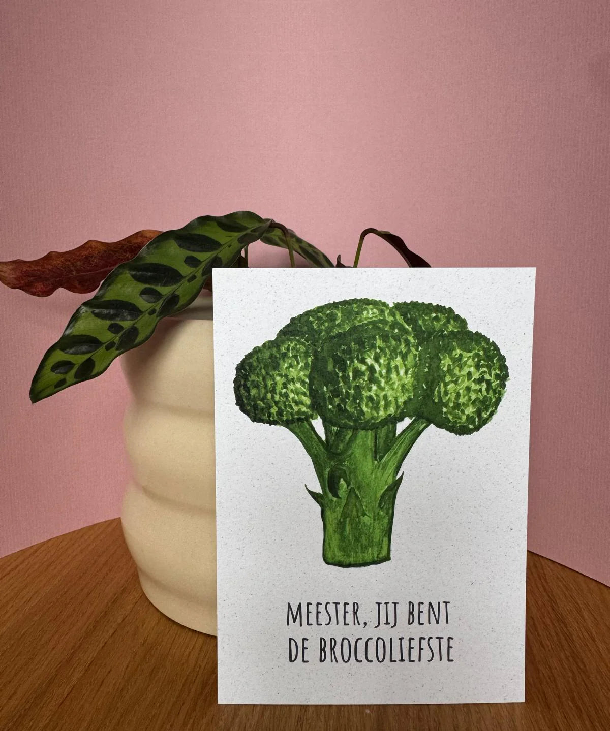 broccoliefste-meester.webp
