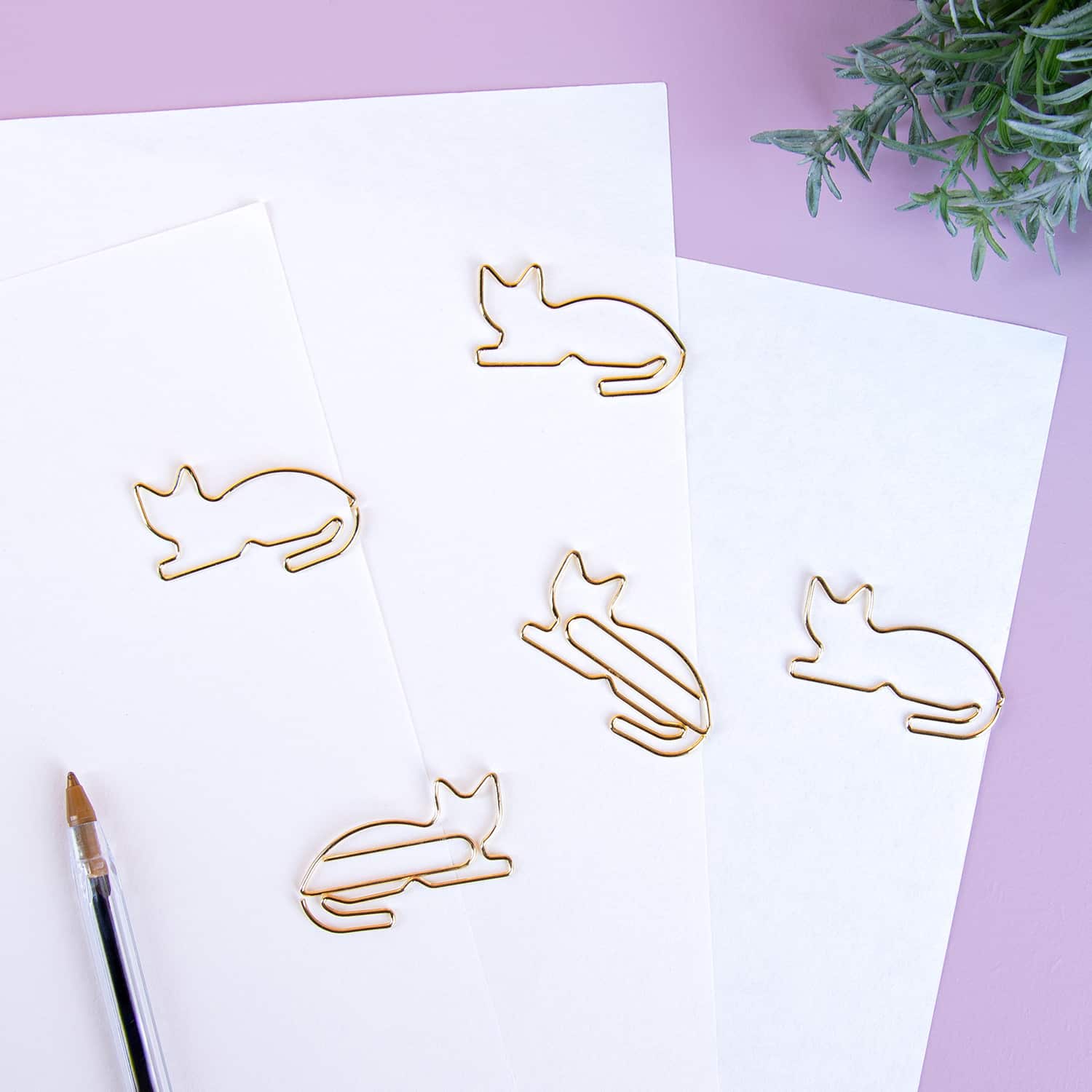 Cat paper clips