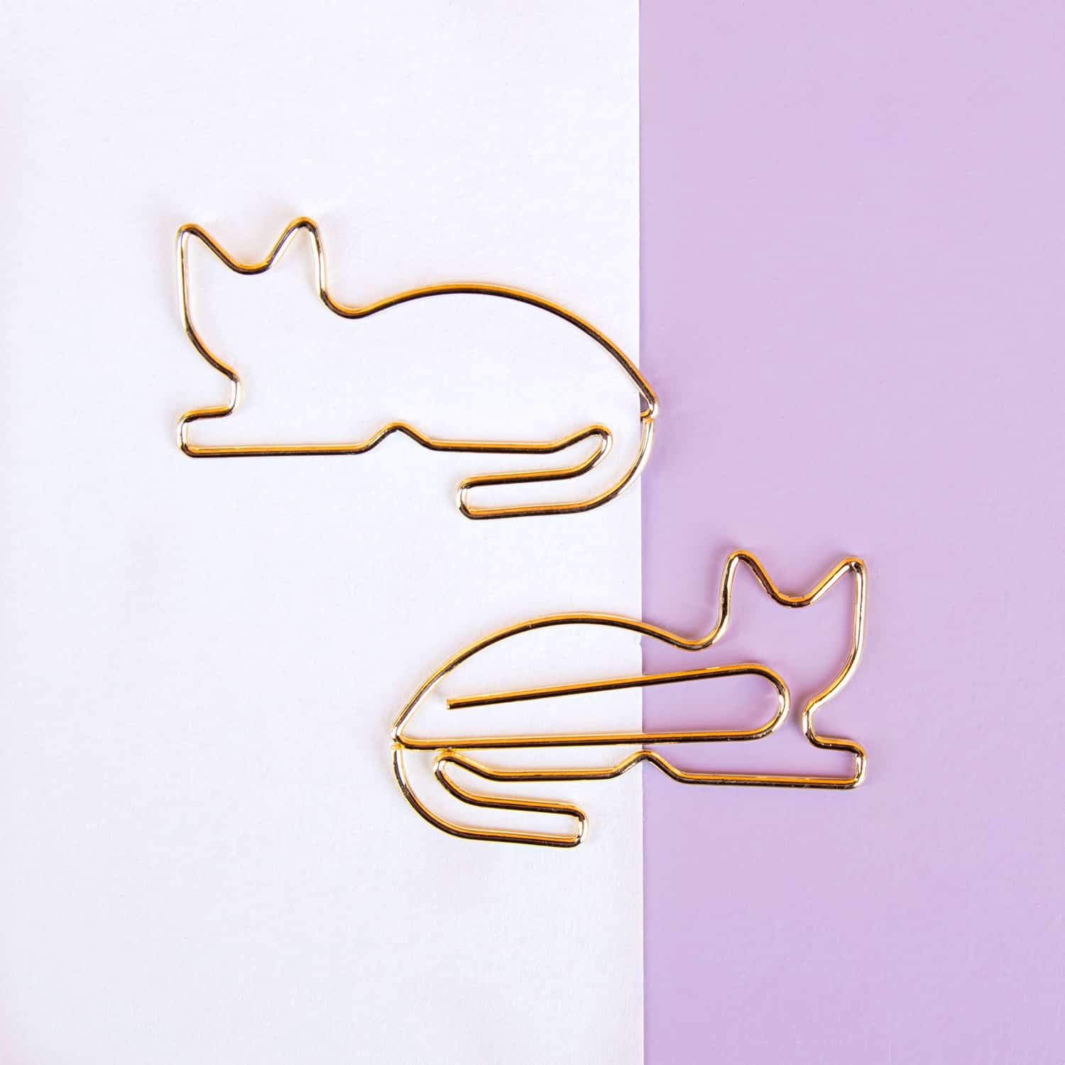 cat-paperclips-2.jpg