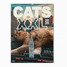 Afbeelding in Gallery-weergave laden, Cats XXL - Kalender 2025
