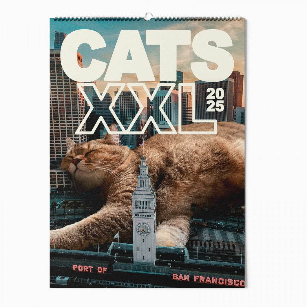 Cats XXL - Kalender 2025