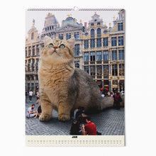 Afbeelding in Gallery-weergave laden, Cats XXL - Kalender 2025
