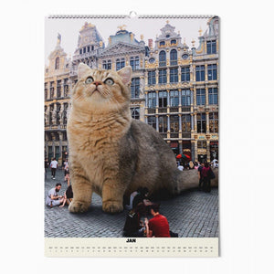 Cats XXL - Kalender 2025