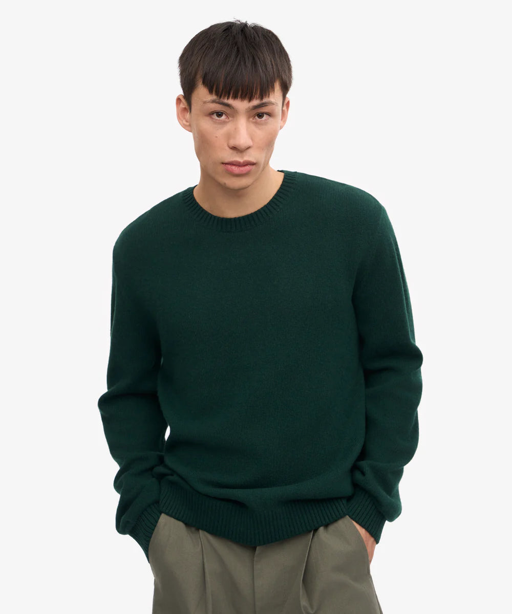 classic-merino-wool-crew-merino-crewneck-emerald-green-male_6.webp