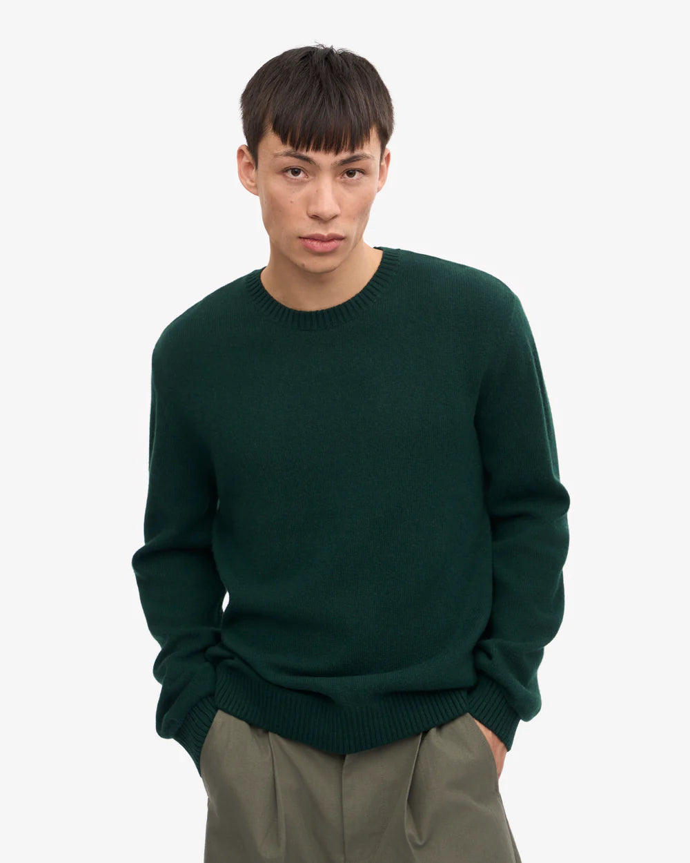 Classic merino wool crew