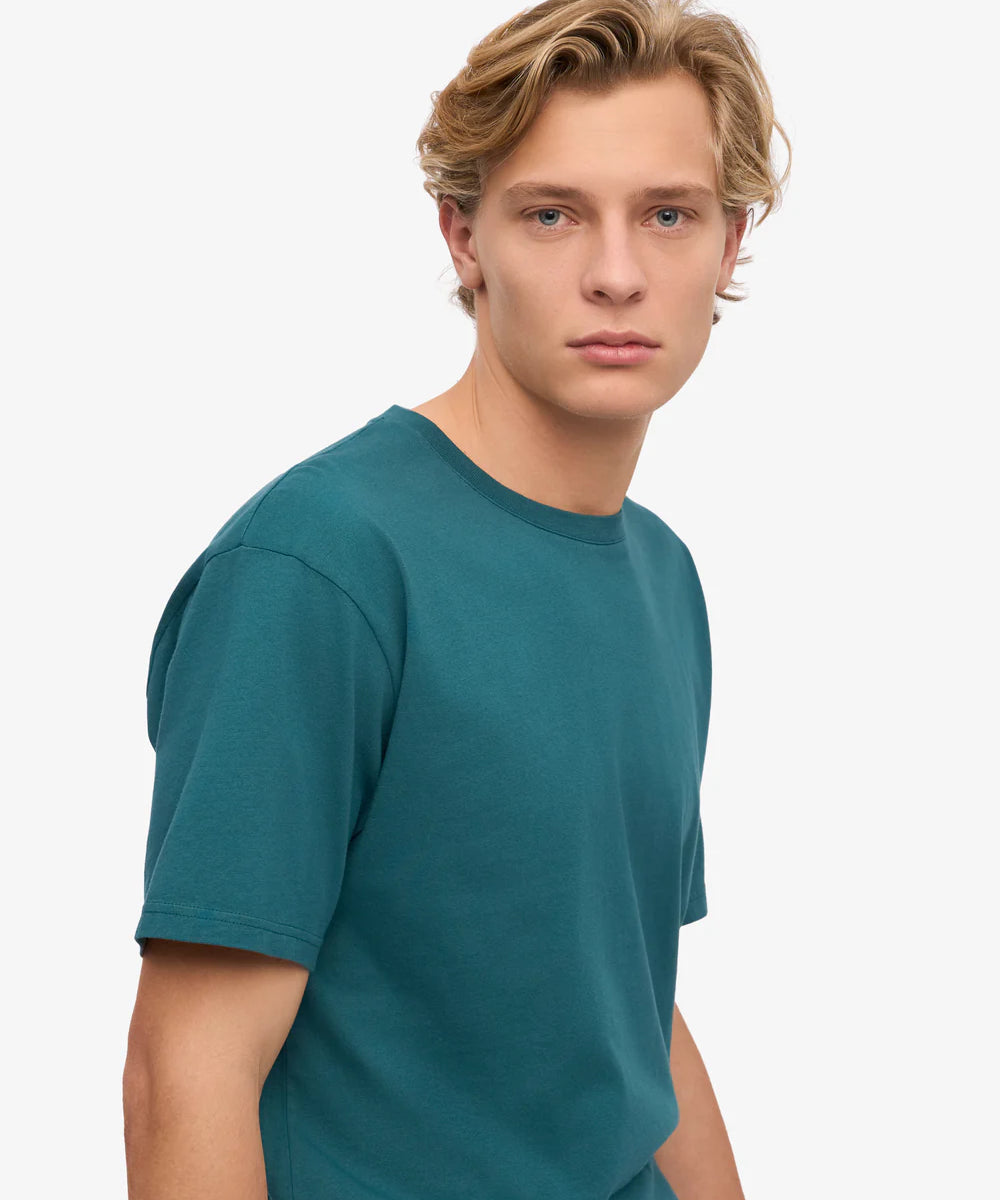 classic-organic-tee-t-shirt-ocean-green-male_6.webp