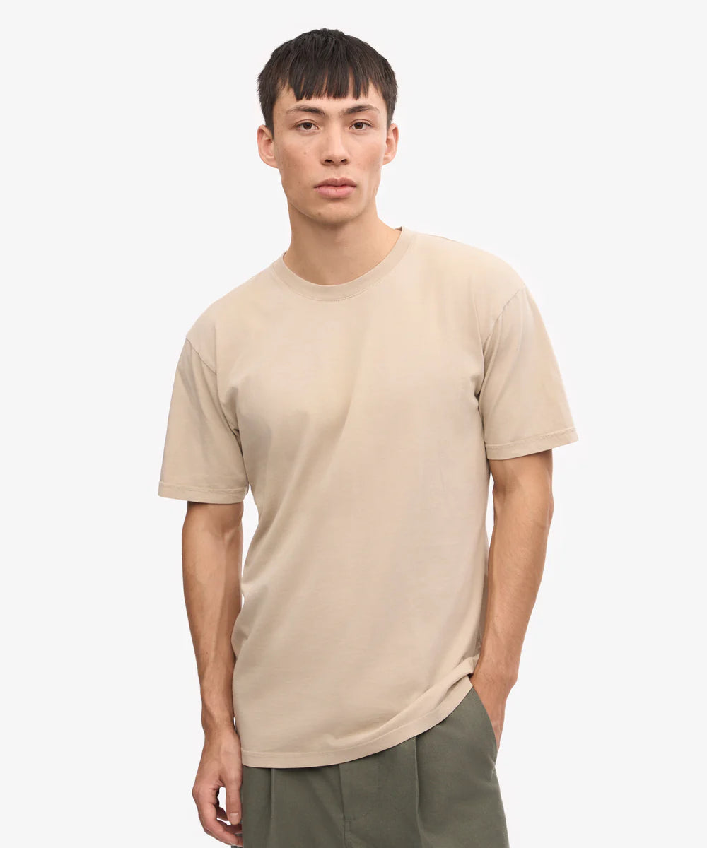 classic-organic-tee-t-shirt-oyster-grey-male_2.webp