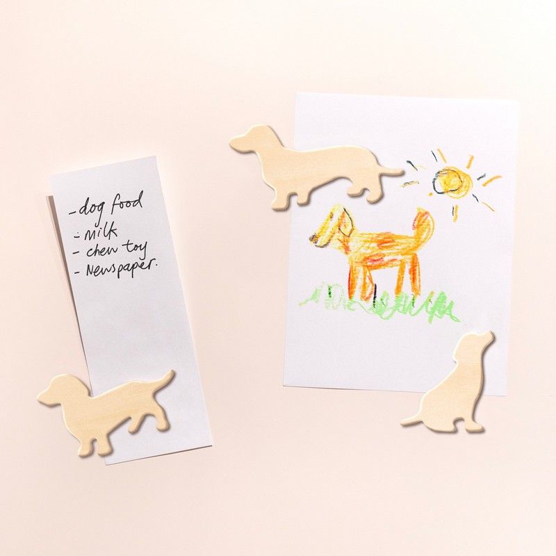 Dog magnets