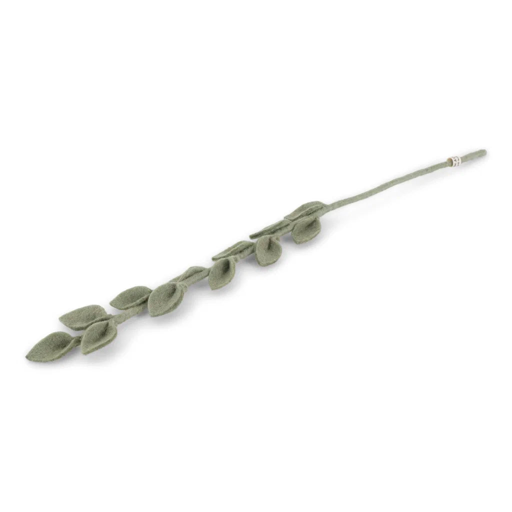 eucalyptus branch - gevilte tak
