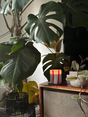 geurkaars atina - tomato & mint leaf