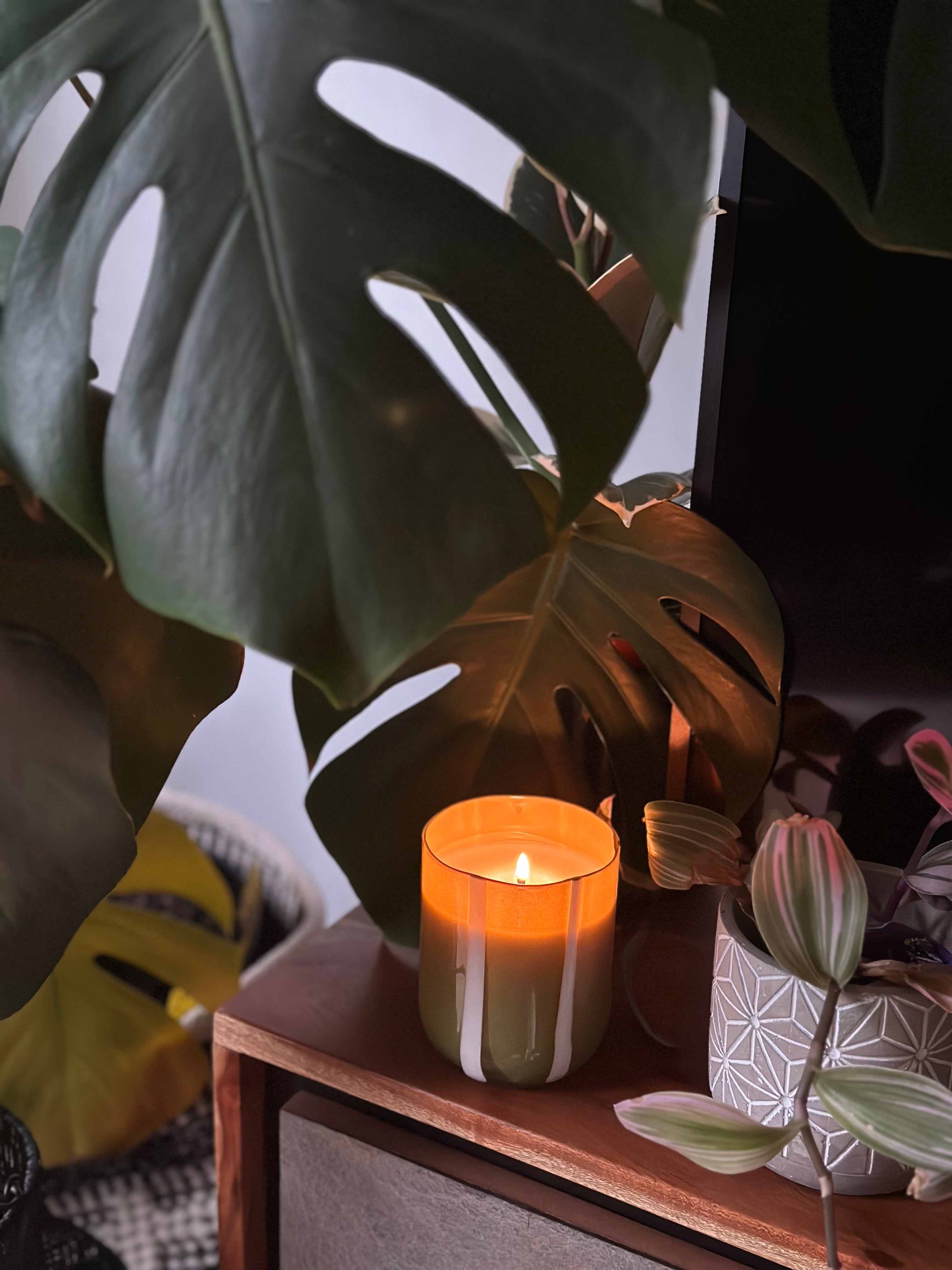 geurkaars atina - fresh olive & lemon