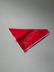 wine - set linnen servetten