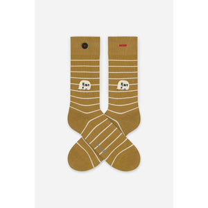Cinnamon caravan socks