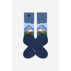 Fuji socks
