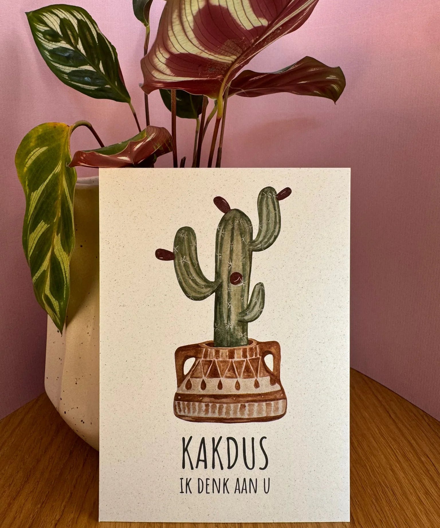 kakdus-ikdenkaanu.webp