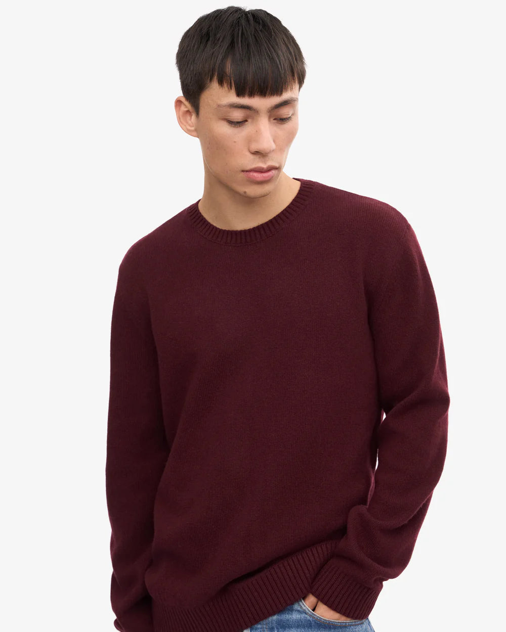 Classic merino wool crew