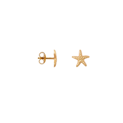 mini sea star - stud