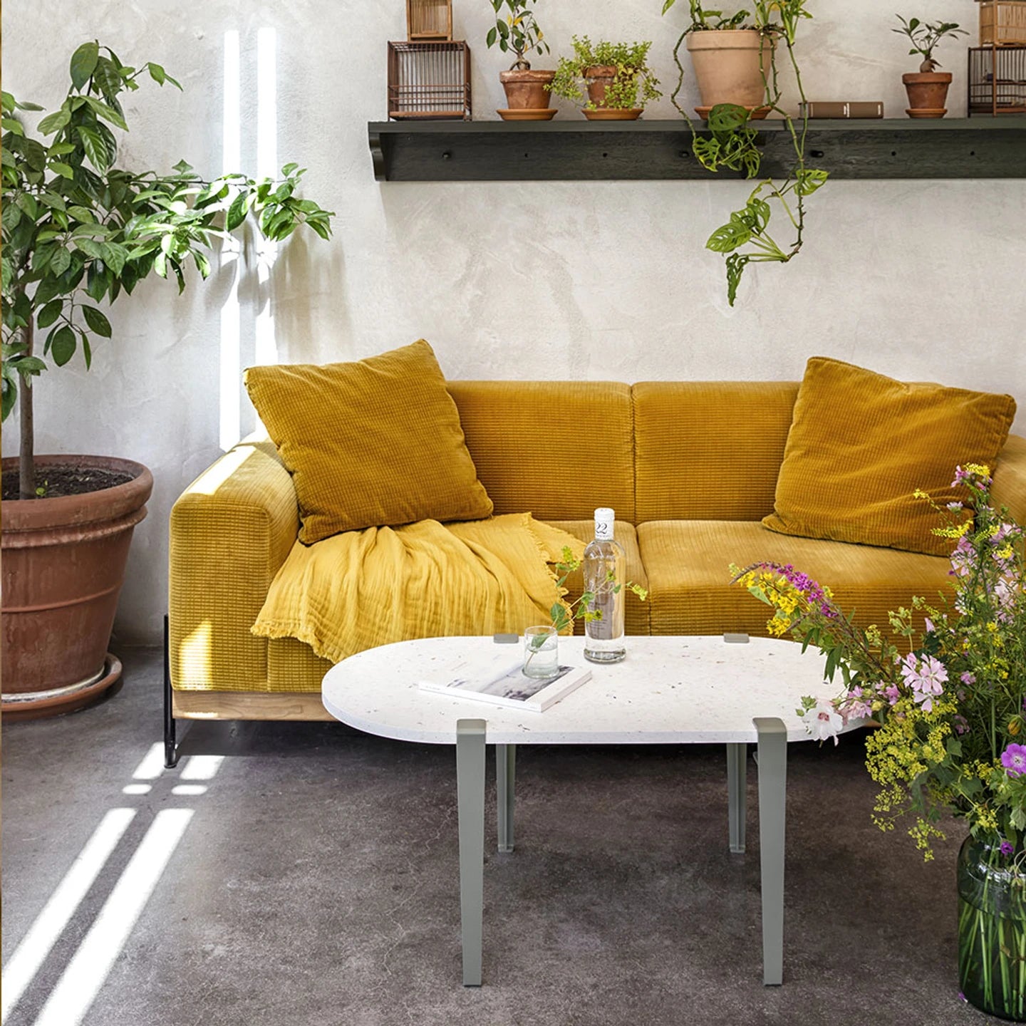 Ovale salontafel - venezia