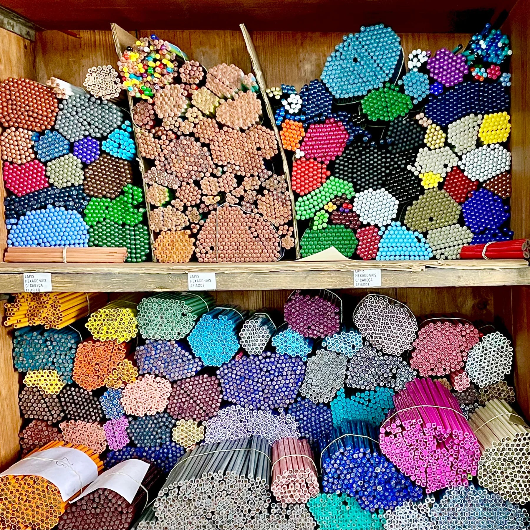 oop! worm - arhoj pencil