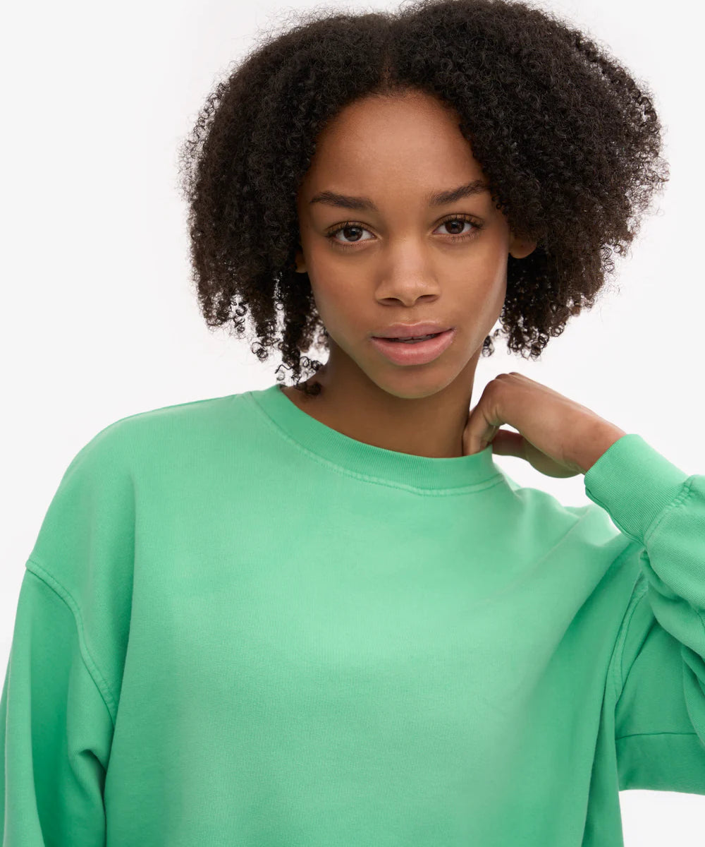 organic-oversized-crew-spring-green-female_6.webp