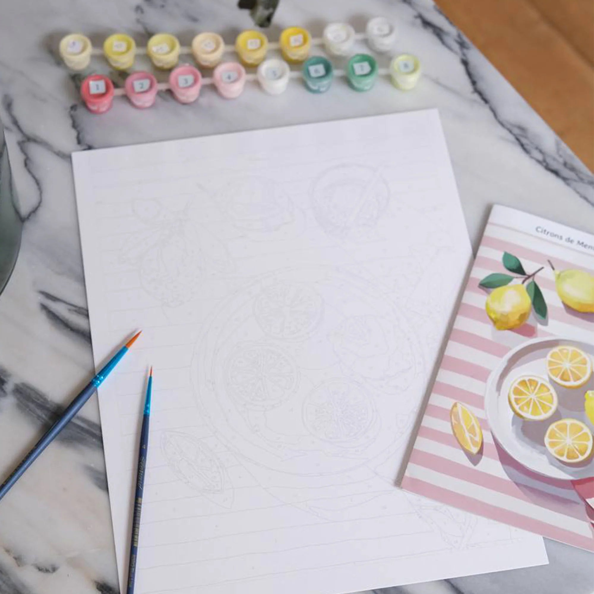 citrons de menton - paint by numbers kit