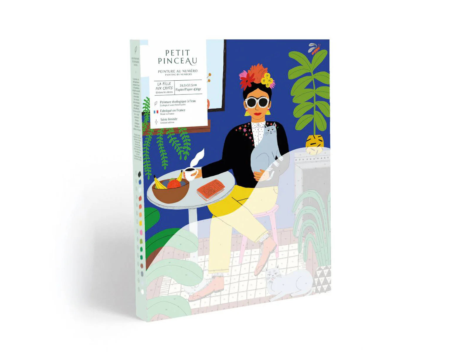la fille aux chats - paint by numbers kit
