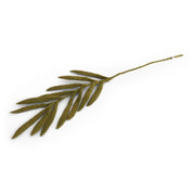 palm leaf green - gevilte tak