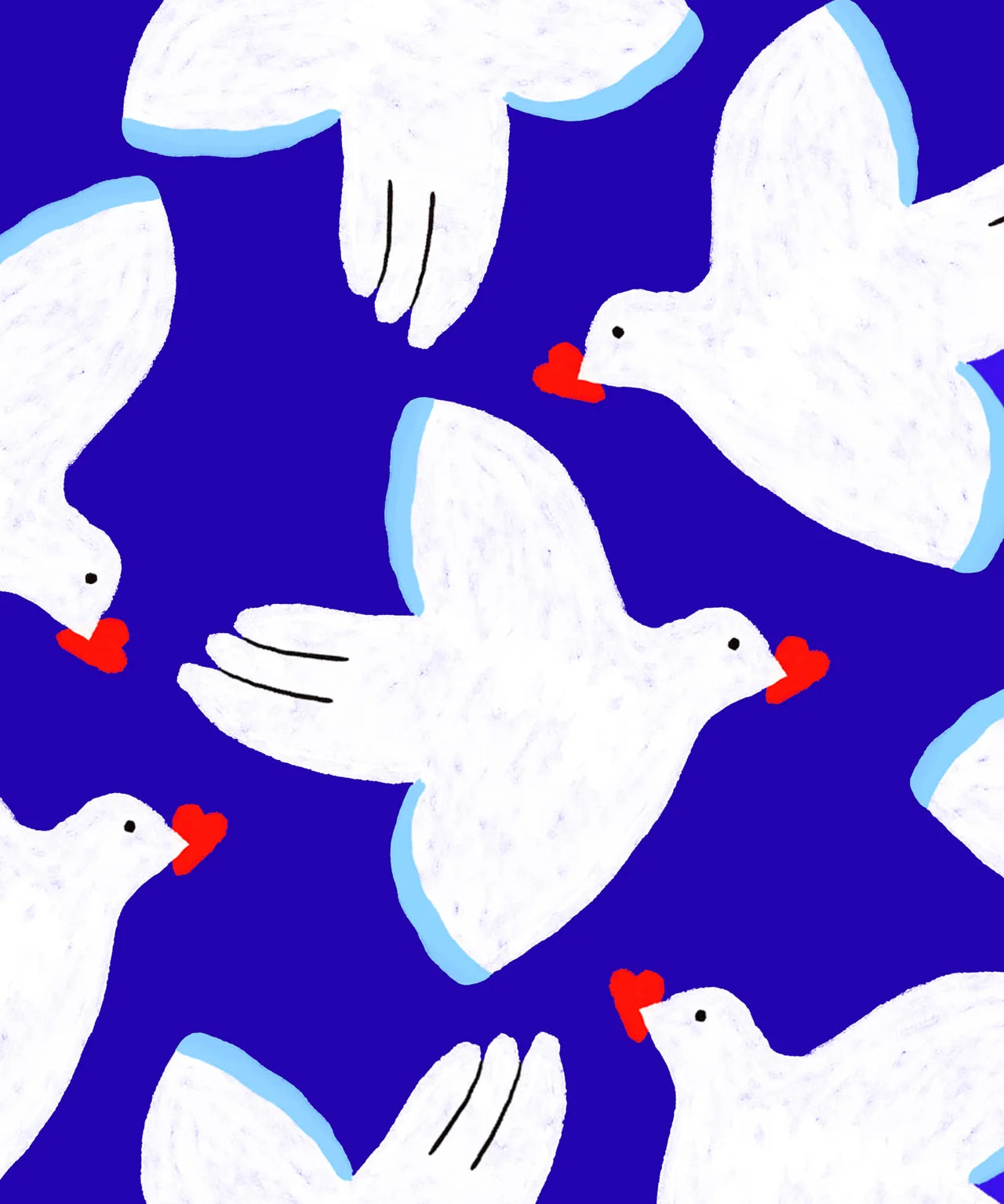 paloma-waaier-cuikui-detail.webp