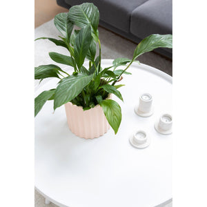 Mila large planter - Olive