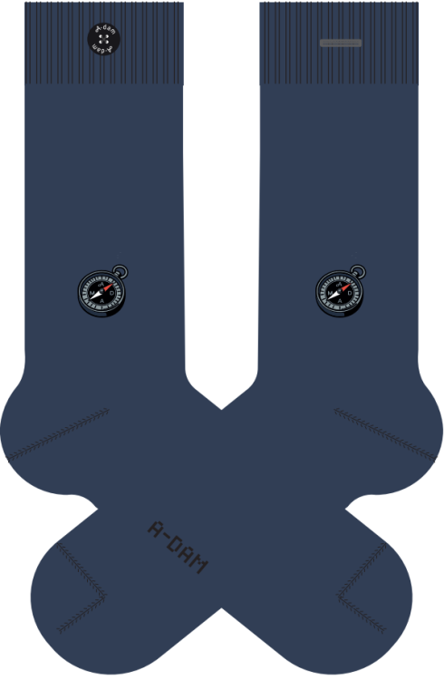 compass navy socks