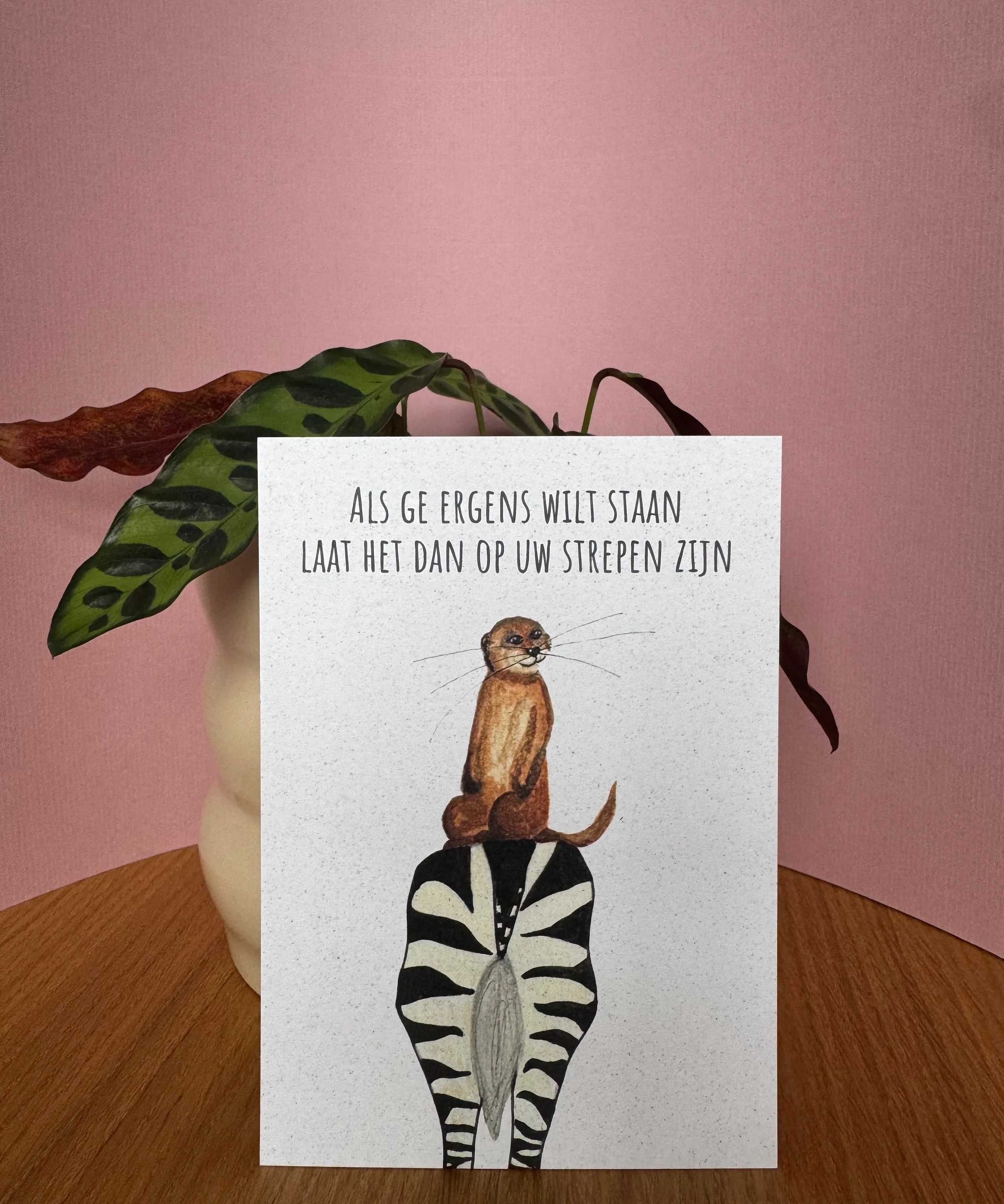 strepen-staan.webp