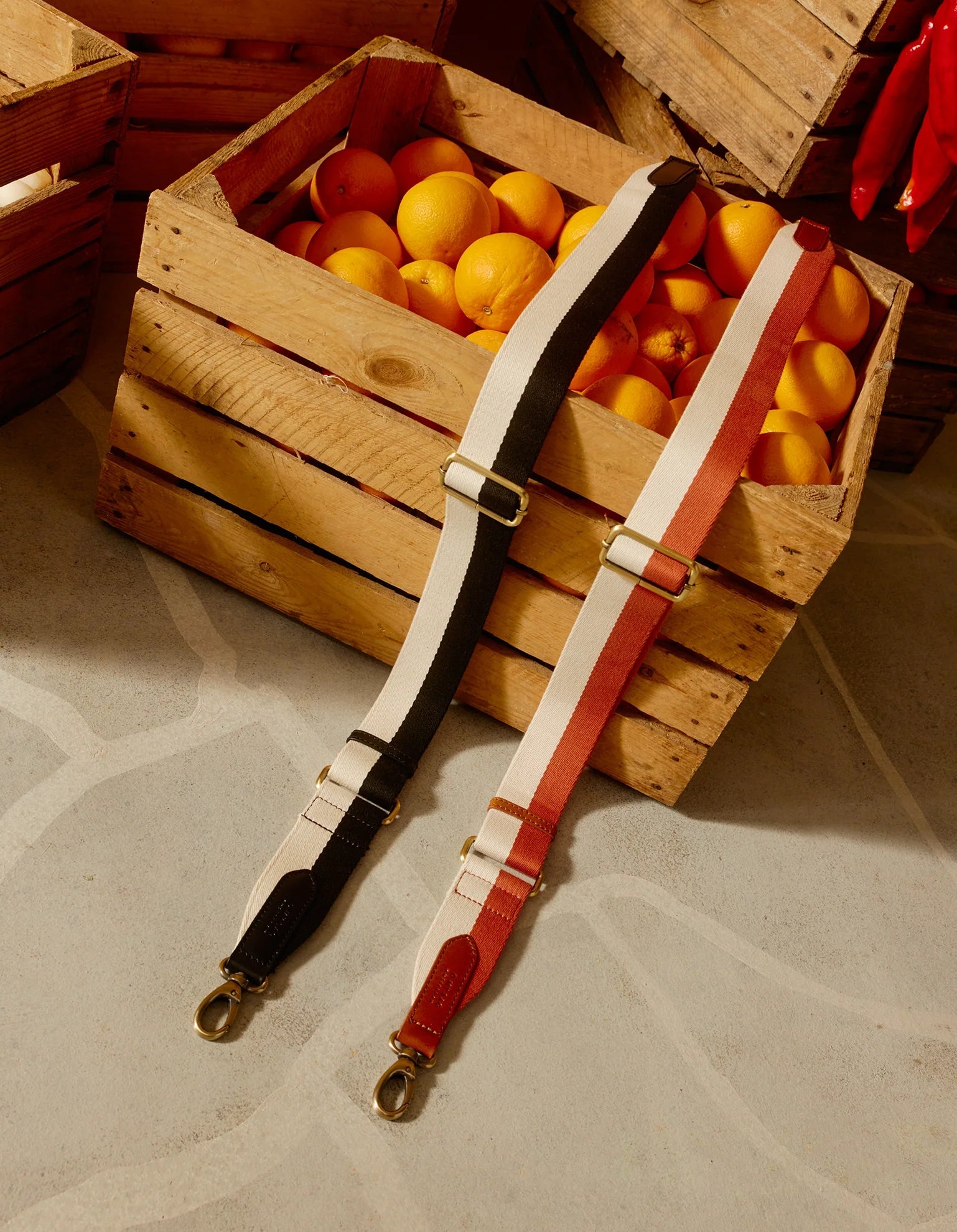 Gestreepte webbing strap - Zwart wit